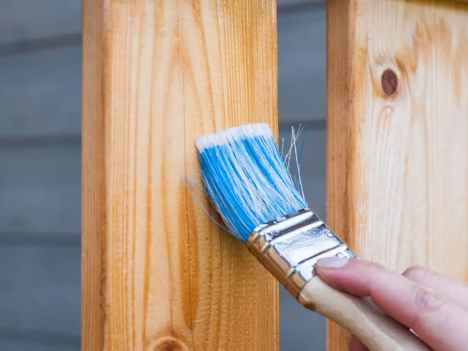 Fence Staining and Painting
